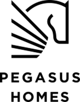Pegasuslife Development LTD