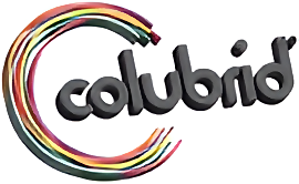 Colubrid