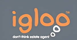 Igloo