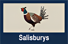 Salisburys