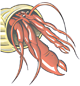 Norwich Accommodation Agency