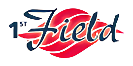 1St Field Properties