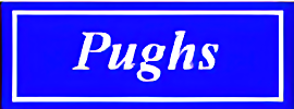 Pughs