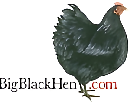 Big Black Hen.Com