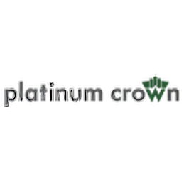 Platinum Crown