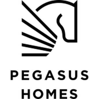 Pegasuslife Development LTD