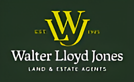 Walter Lloyd Jones & Co.