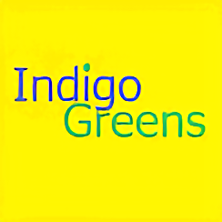 Indigo Greens