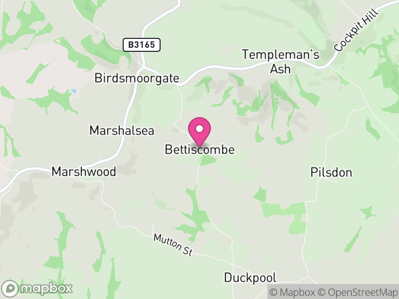 Map of Bettiscombe, Dorset