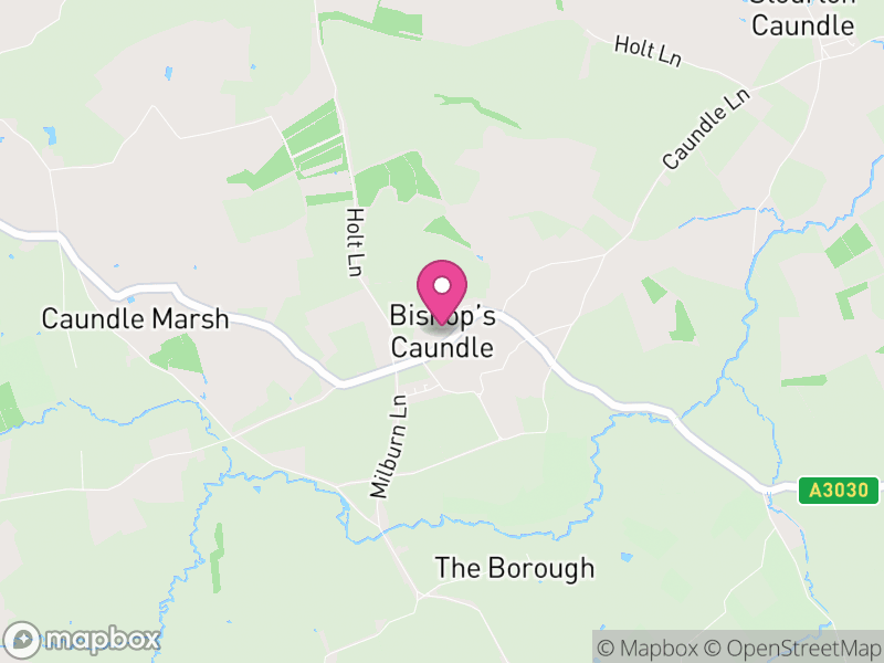 Map of Bishop's Caundle, Dorset