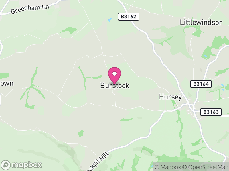 Map of Burstock, Dorset