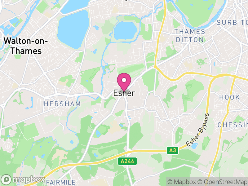 Map of Elmbridge, Surrey