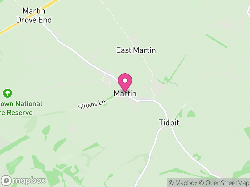 Map of Martin, New Forest