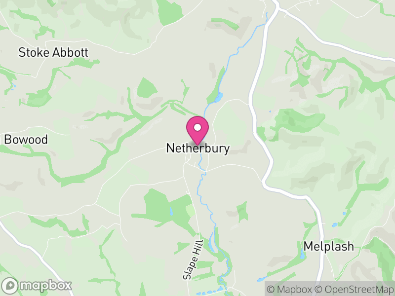 Map of Netherbury, Dorset