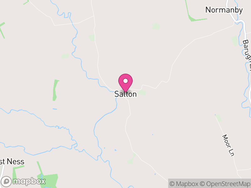 Map of Salton, North Yorkshire