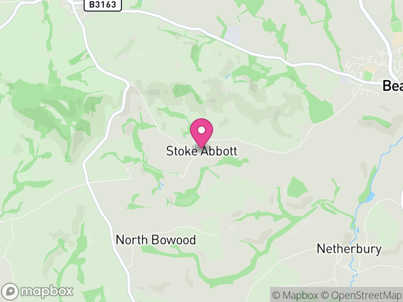 Map of Stoke Abbott, Dorset