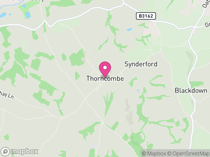 Map of Thorncombe, Dorset