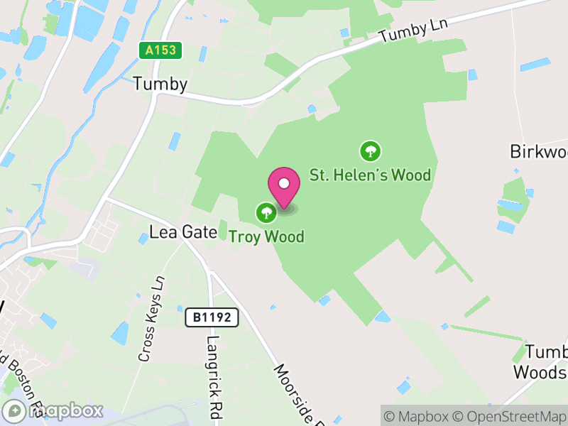 Map of Tumby, East Lindsey