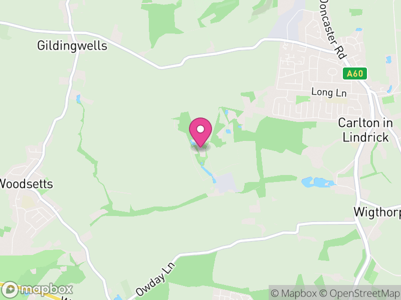 Map of Wallingwells, Bassetlaw