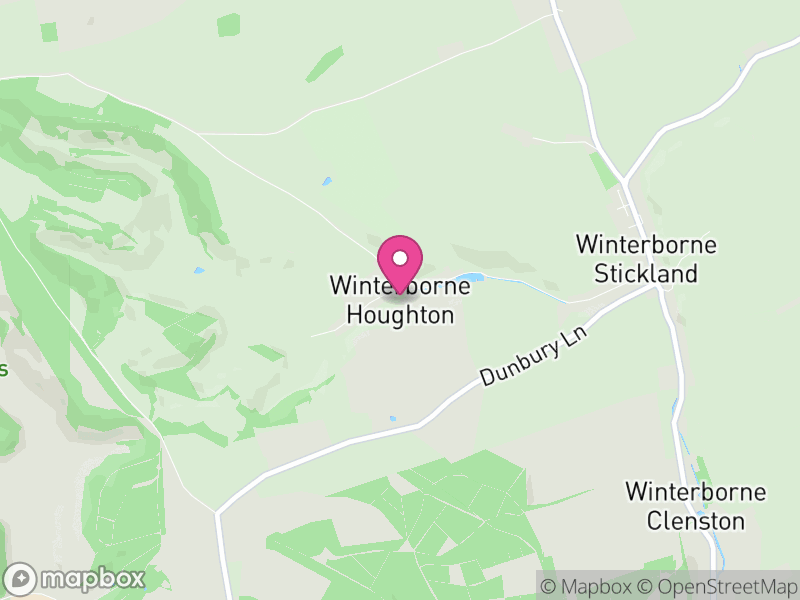 Map of Winterborne Houghton, Dorset