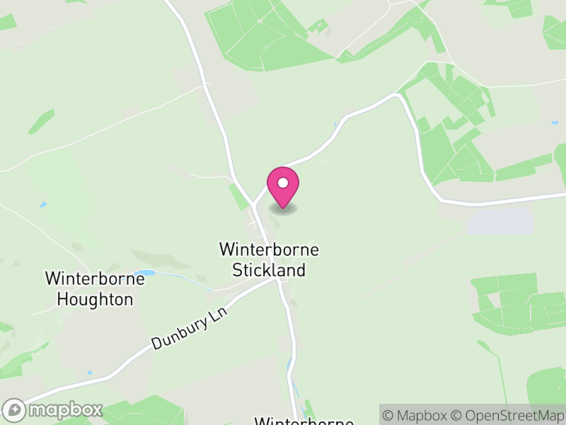 Map of Winterborne Stickland, Dorset