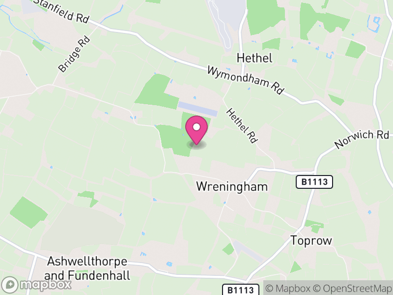 Map of Wreningham, South Norfolk