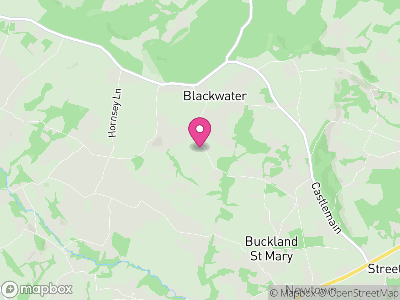 Map of Buckland St Mary, Somerset