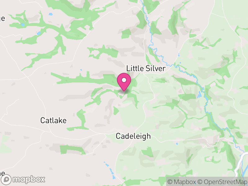 Map of Cadeleigh, Mid Devon