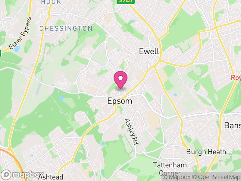 Map of Epsom and Ewell, Surrey