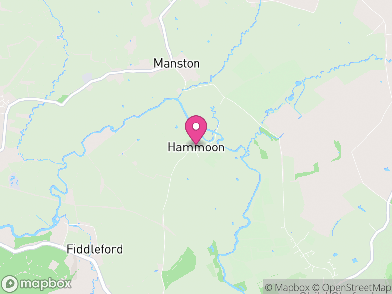 Map of Hammoon, Dorset