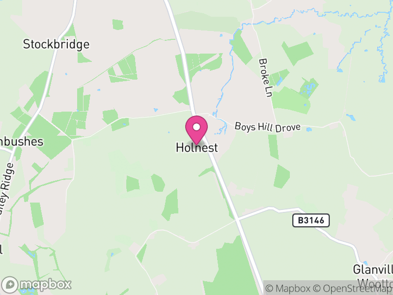 Map of Holnest, Dorset