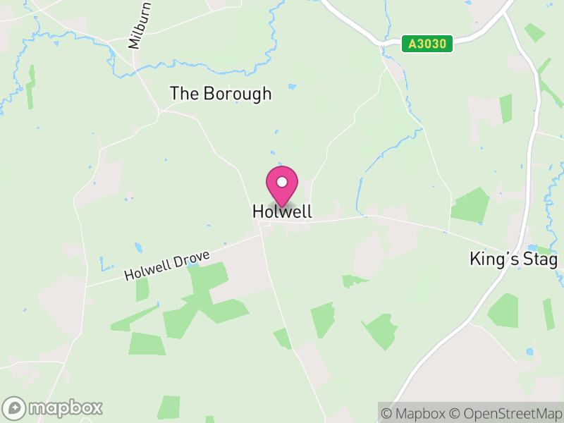 Map of Holwell, Dorset