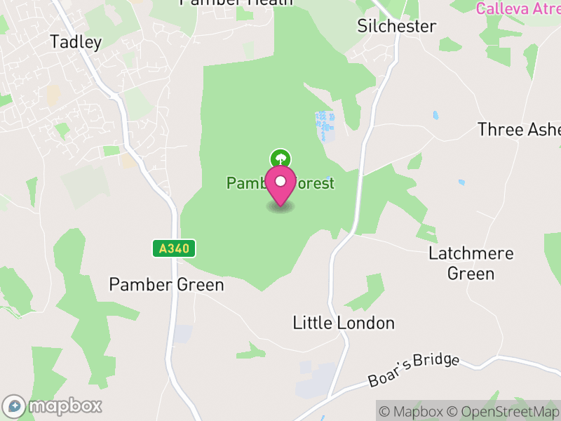 Map of Pamber, Basingstoke and Deane