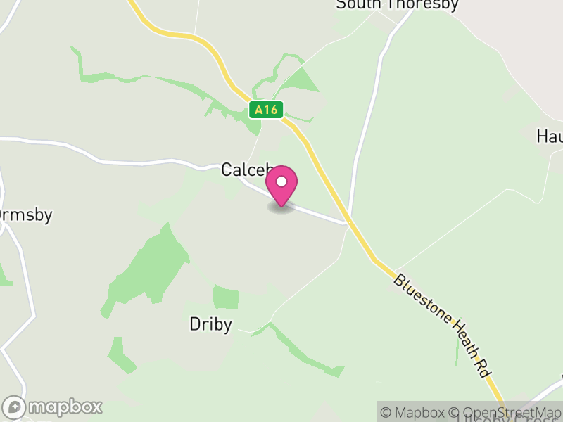 Map of South Thoresby, East Lindsey