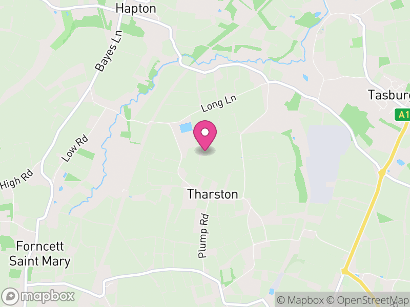 Map of Tharston and Hapton, South Norfolk