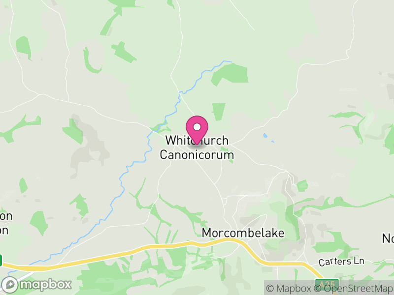 Map of Whitchurch Canonicorum, Dorset