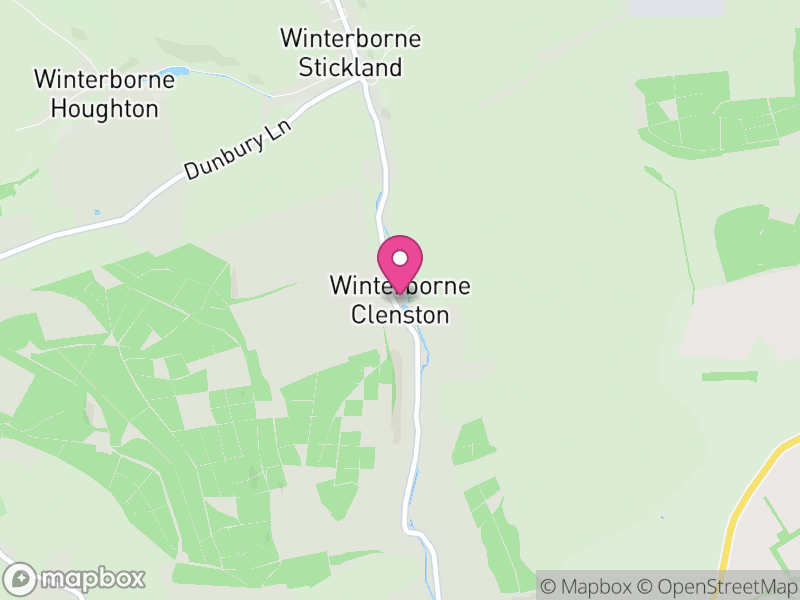 Map of Winterborne Clenston, Dorset