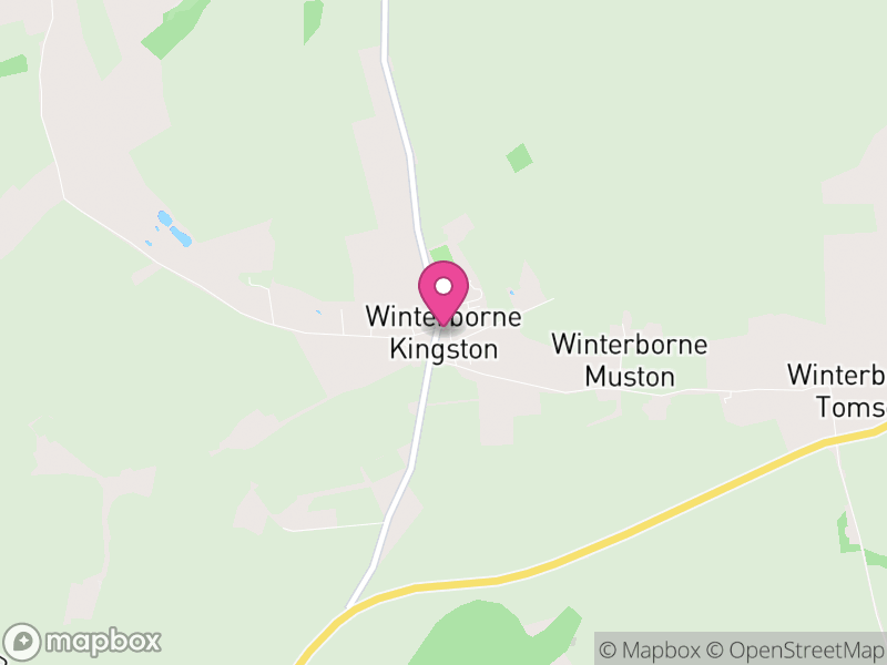 Map of Winterborne Kingston, Dorset