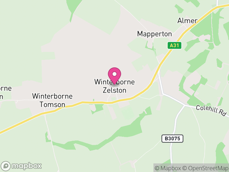 Map of Winterborne Zelston, Dorset