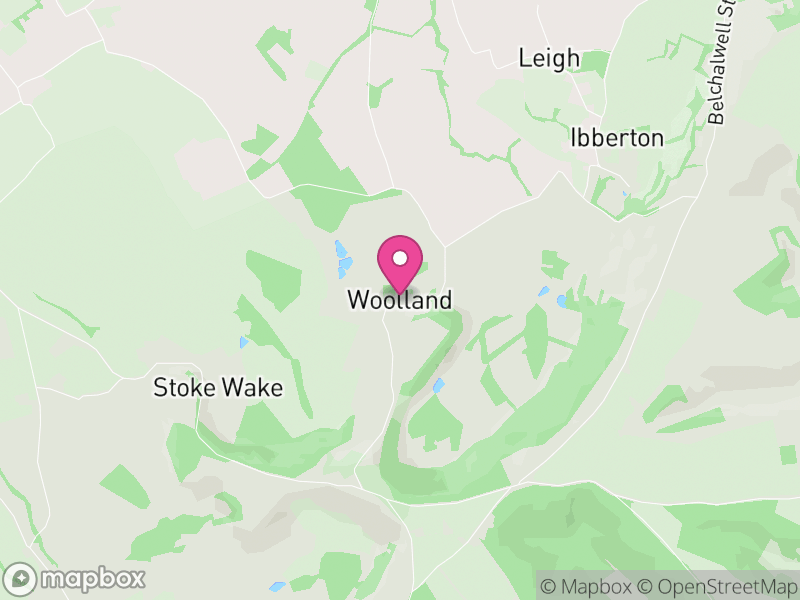 Map of Woolland, Dorset