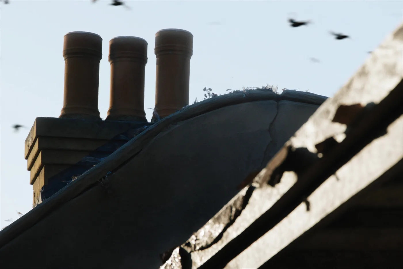 Chimney defects — found during a RICS home survey
