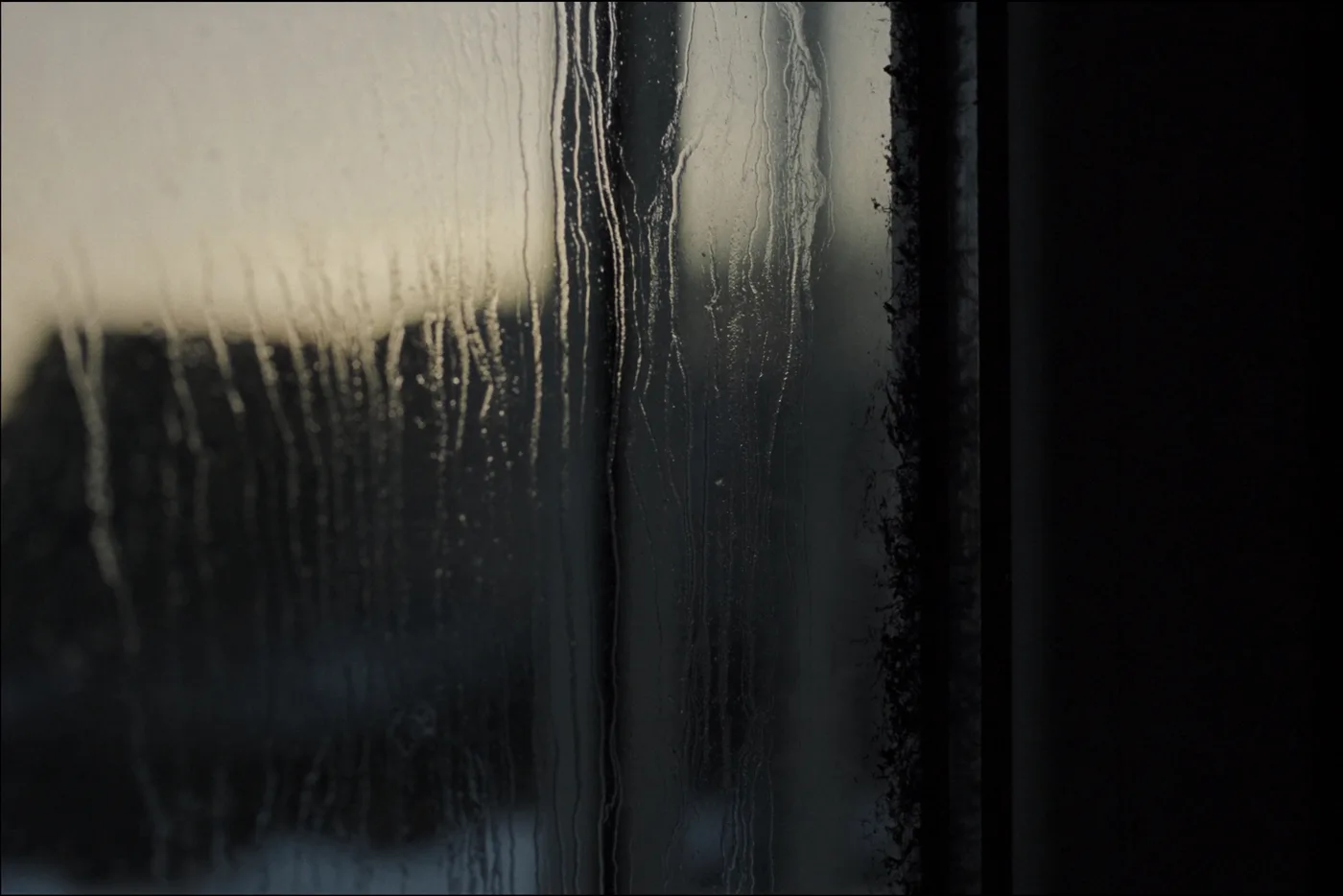 Condensation & mould — found during a RICS home survey