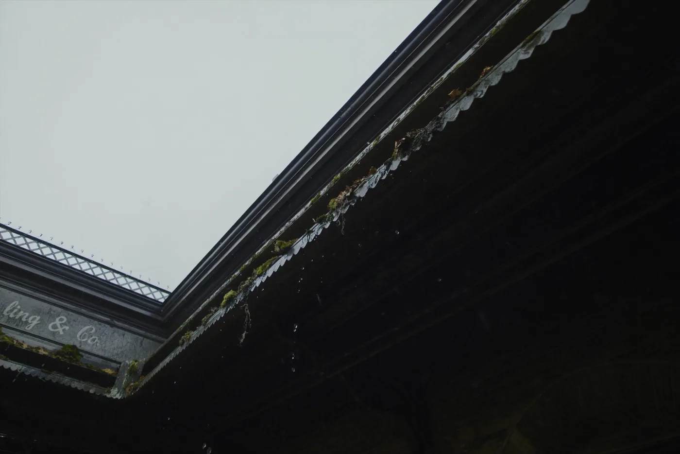 Blocked guttering — found during a RICS home survey