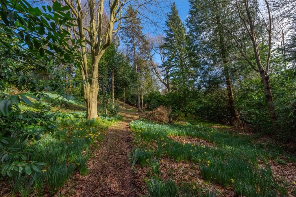 Thumbnail 29