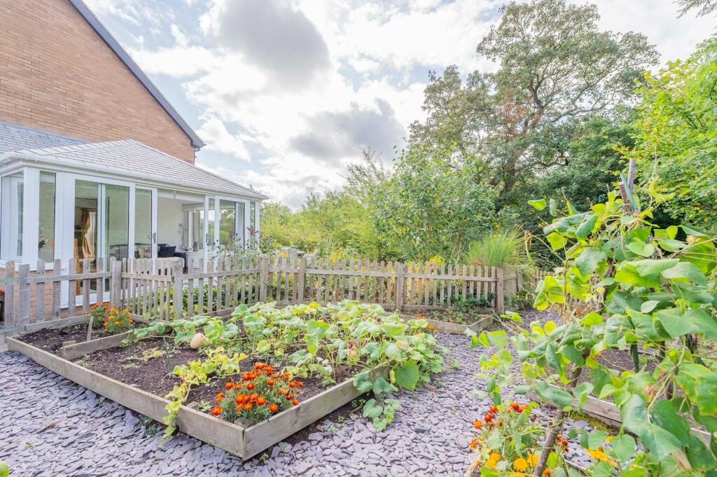 Thumbnail 37