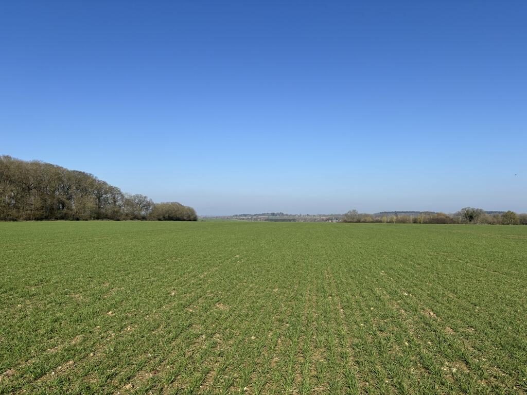 Farm Land