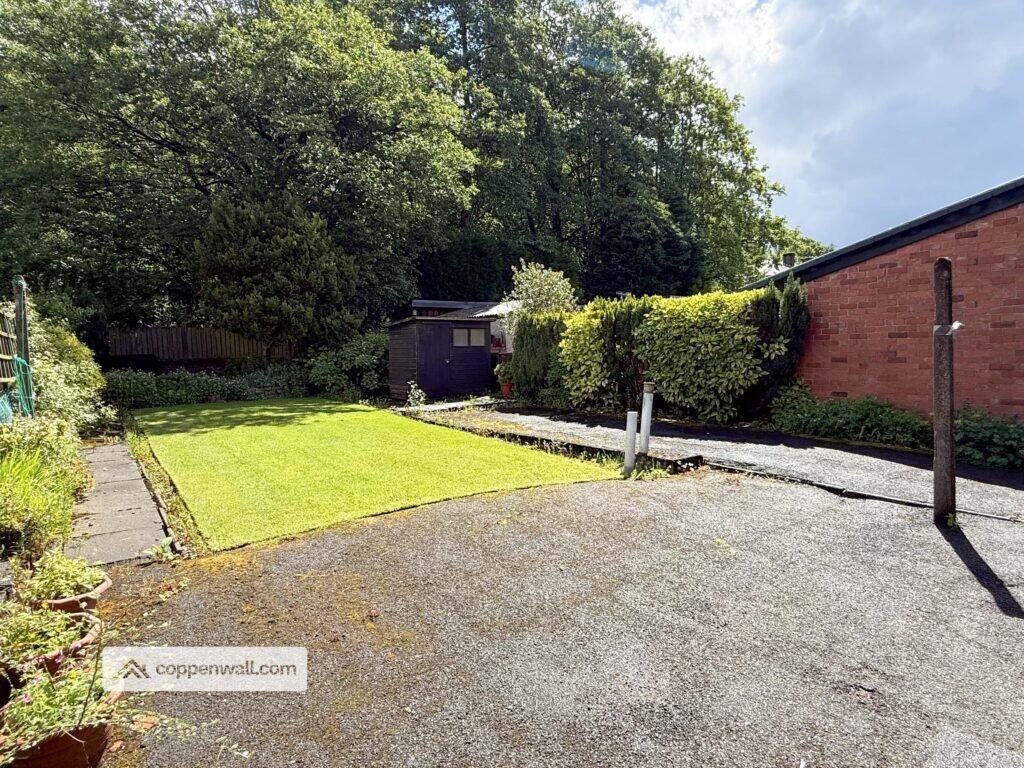 Thumbnail 31