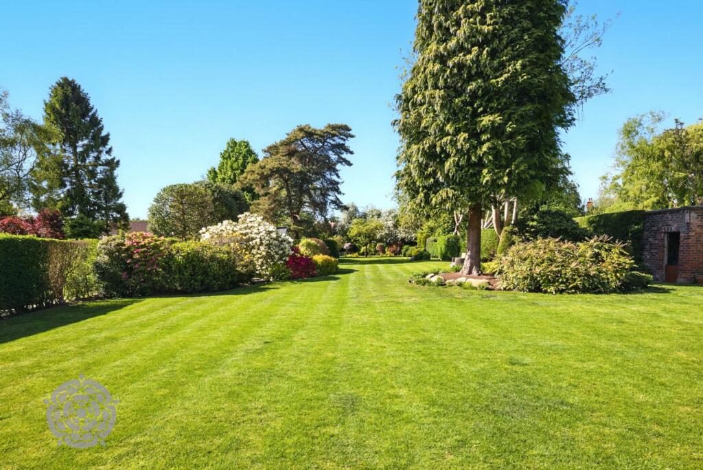 Thumbnail 66