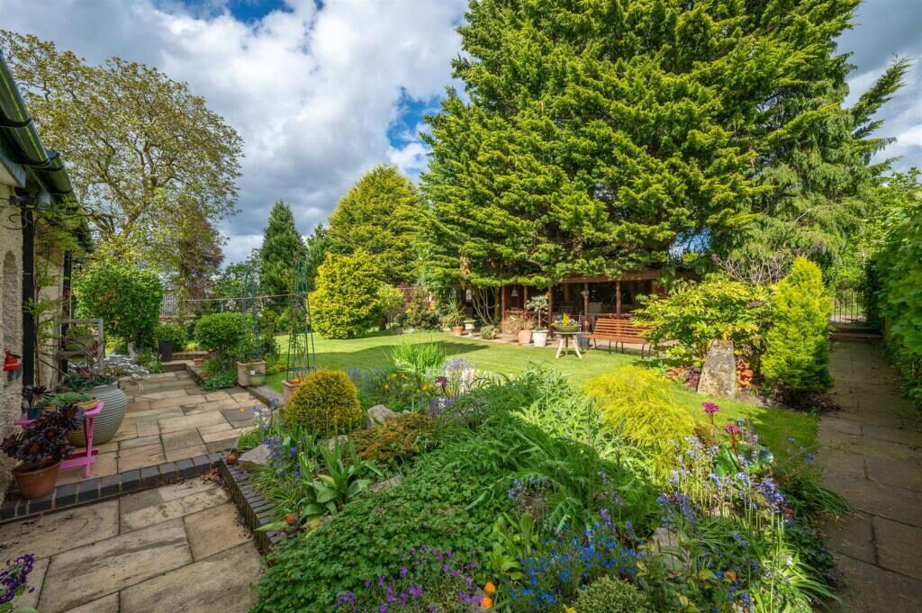 Thumbnail 20