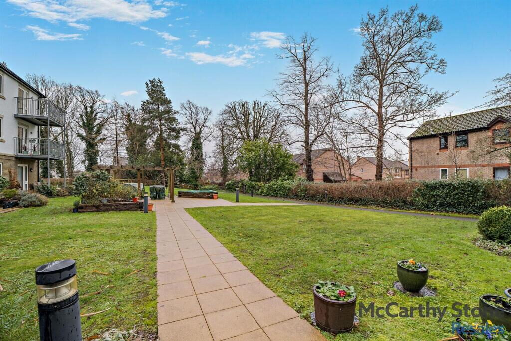 Thumbnail 12